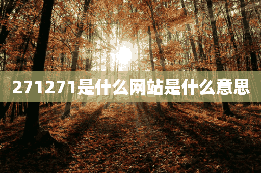 271271是什么网站是什么意思(2297是什么网站)